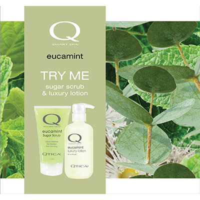Eucamint Intro Kit
